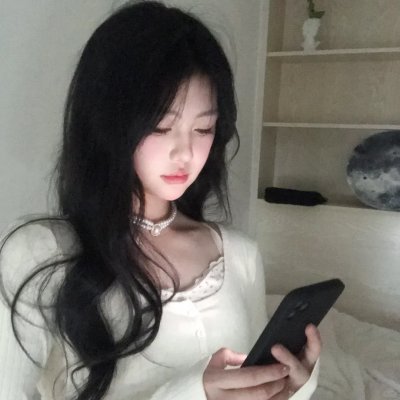 如翼之舟